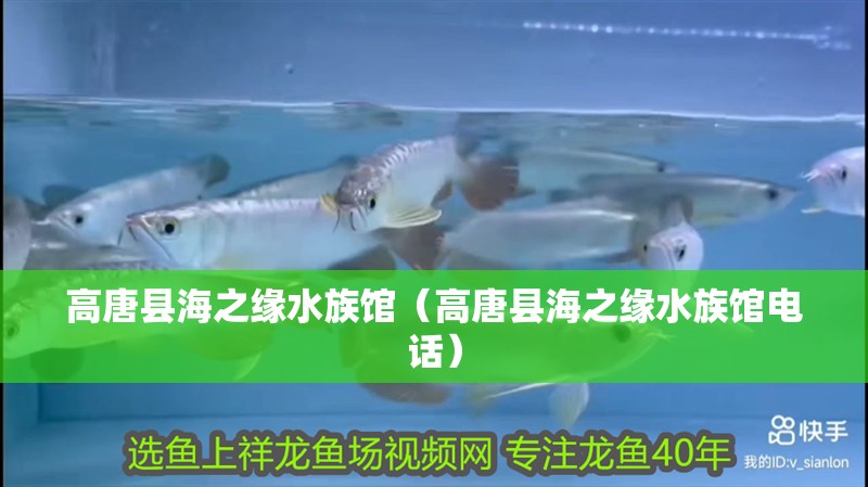 高唐縣海之緣水族館（高唐縣海之緣水族館電話）
