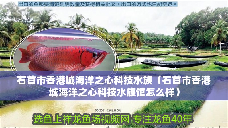 石首市香港城海洋之心科技水族（石首市香港城海洋之心科技水族館怎么樣）