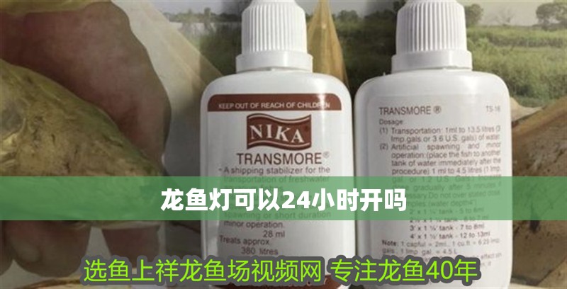 龍魚燈可以24小時開嗎