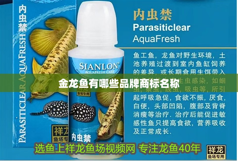 金龍魚有哪些品牌商標名稱