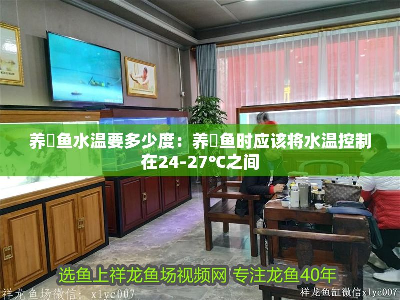 養魟魚水溫要多少度:養魟魚時應該將水溫控制在24-27℃之間 魟魚百科 第2張 養魟魚水溫要多少度:養魟魚時應該將水溫控制在24-27℃之間 養魟魚水溫要多少度:養魟魚時應該將水溫控制在24-27℃之間 魟魚百科 第2張