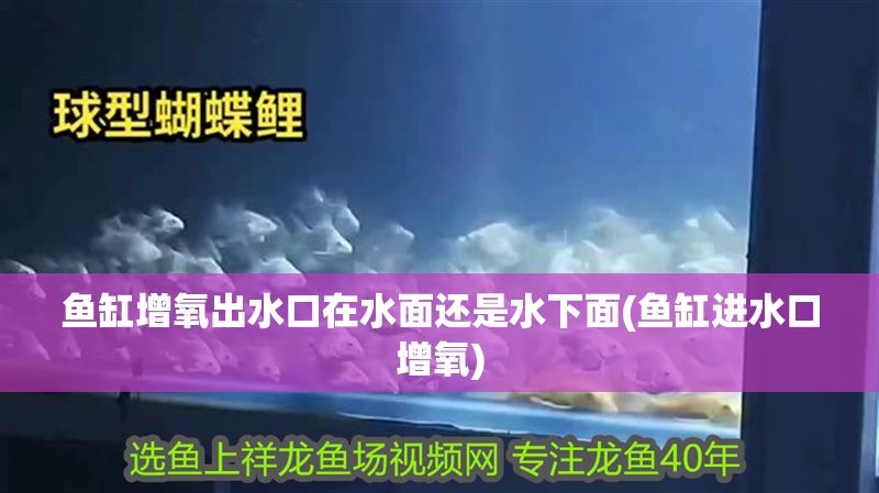魚缸增氧出水口在水面還是水下面(魚缸進水口增氧)