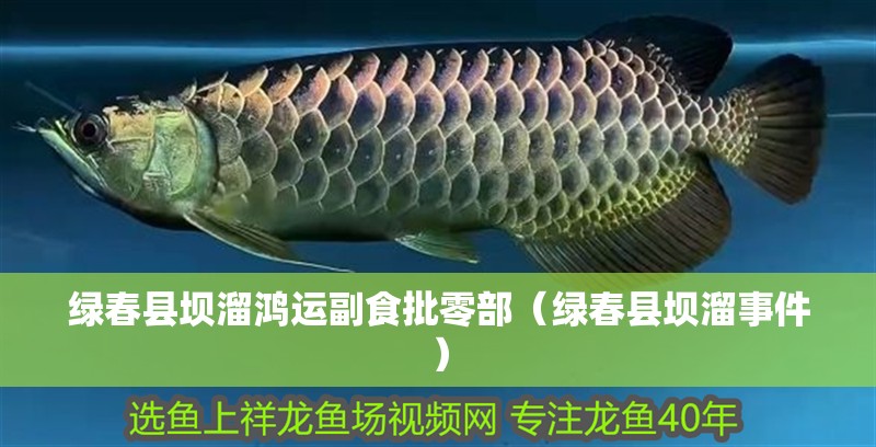 綠春縣壩溜鴻運副食批零部（綠春縣壩溜事件）