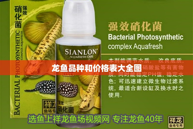 龍魚品種和價(jià)格表大全圖 龍魚品種和價(jià)格表大全圖 龍魚百科 第2張