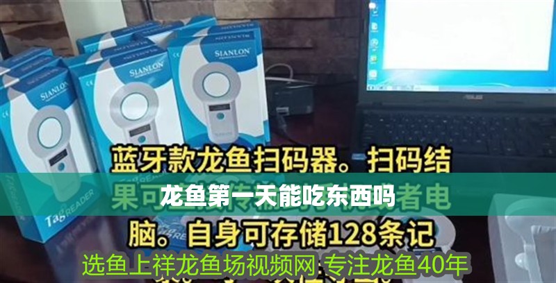 龍魚第一天能吃東西嗎