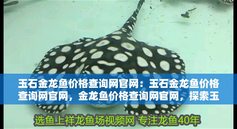 玉石金龍魚價(jià)格查詢網(wǎng)官網(wǎng)：玉石金龍魚價(jià)格查詢網(wǎng)官網(wǎng)，金龍魚價(jià)格查詢網(wǎng)官網(wǎng)，探索玉石金龍魚的
