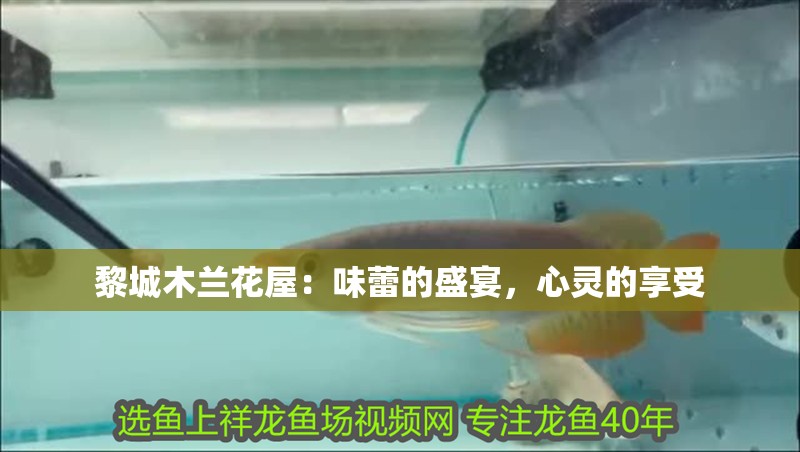 黎城木蘭花屋：味蕾的盛宴，心靈的享受 黎城木蘭花屋：味蕾的盛宴，心靈的享受 全國水族館企業名錄