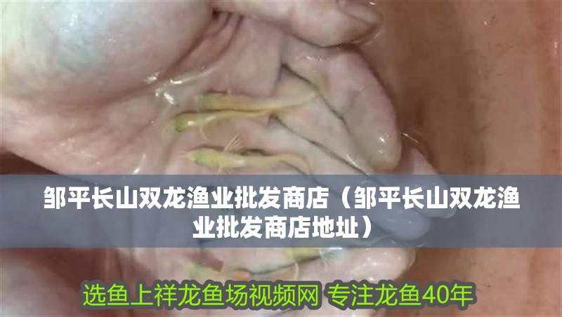 鄒平長(zhǎng)山雙龍漁業(yè)批發(fā)商店（鄒平長(zhǎng)山雙龍漁業(yè)批發(fā)商店地址）