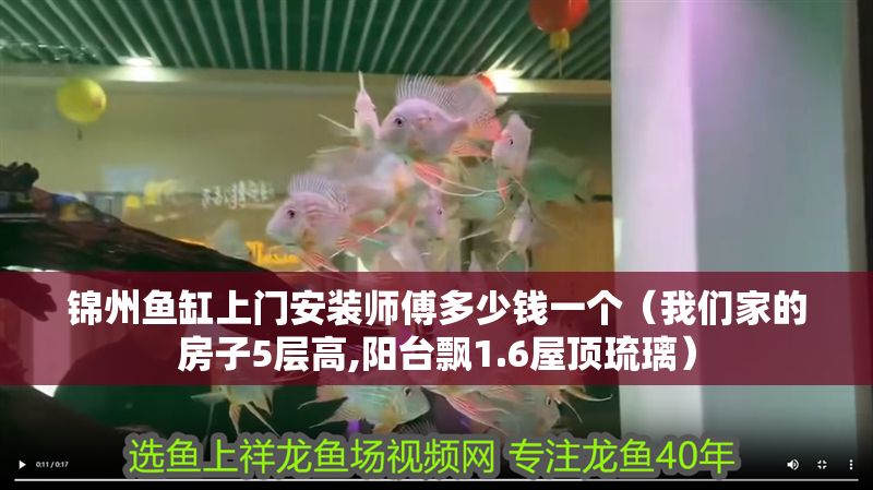 錦州魚缸上門安裝師傅多少錢一個（我們家的房子5層高,陽臺飄1.6屋頂琉璃）