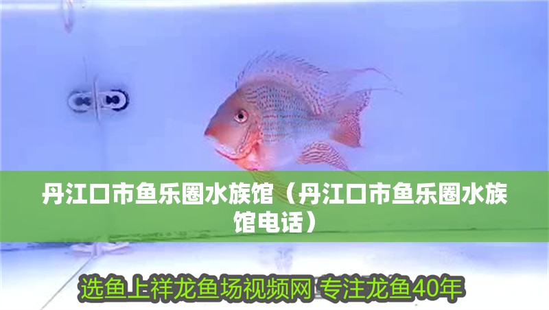 丹江口市魚樂圈水族館（丹江口市魚樂圈水族館電話）
