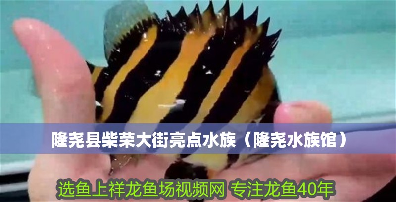 隆堯縣柴榮大街亮點水族（隆堯水族館）