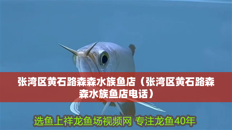 張灣區(qū)黃石路森森水族魚店（張灣區(qū)黃石路森森水族魚店電話）