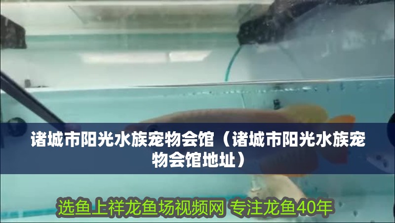 諸城市陽光水族寵物會(huì)館（諸城市陽光水族寵物會(huì)館地址） 諸城市陽光水族寵物會(huì)館（諸城市陽光水族寵物會(huì)館地址） 全國水族館企業(yè)名錄 第2張