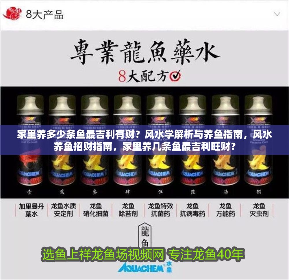 家里養(yǎng)多少條魚最吉利有財(cái)？風(fēng)水學(xué)解析與養(yǎng)魚指南，風(fēng)水養(yǎng)魚招財(cái)指南，家里養(yǎng)幾條魚最吉利旺財(cái)？