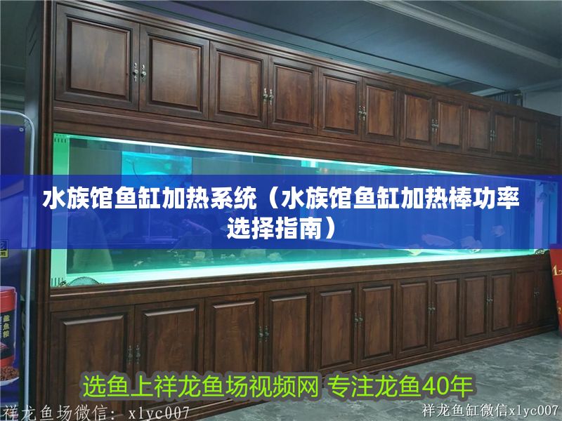 水族館魚缸加熱系統(tǒng)（水族館魚缸加熱棒功率選擇指南）