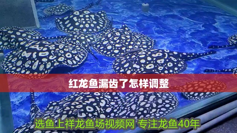 紅龍魚漏齒了怎樣調整