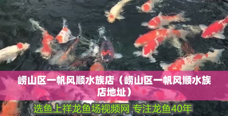 嶗山區一帆風順水族店（嶗山區一帆風順水族店地址）