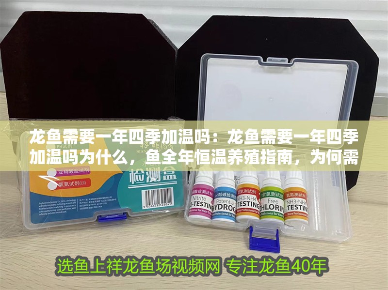 龍魚(yú)需要一年四季加溫嗎：龍魚(yú)需要一年四季加溫嗎為什么，魚(yú)全年恒溫養(yǎng)殖指南，為何需要全年