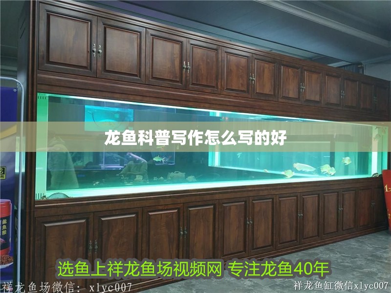 龍魚科普寫作怎么寫的好 龍魚科普寫作怎么寫的好 龍魚百科 第4張