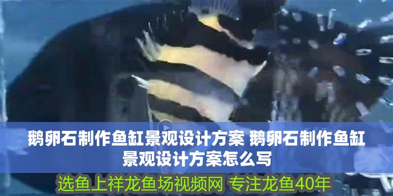 鵝卵石制作魚缸景觀設計方案 鵝卵石制作魚缸景觀設計方案怎么寫