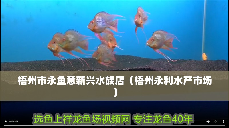 梧州市永魚意新興水族店（梧州永利水產市場）