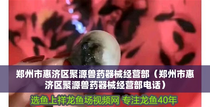 鄭州市惠濟區聚源獸藥器械經營部（鄭州市惠濟區聚源獸藥器械經營部電話） 鄭州市惠濟區聚源獸藥器械經營部（鄭州市惠濟區聚源獸藥器械經營部電話） 全國水族館企業名錄 第2張