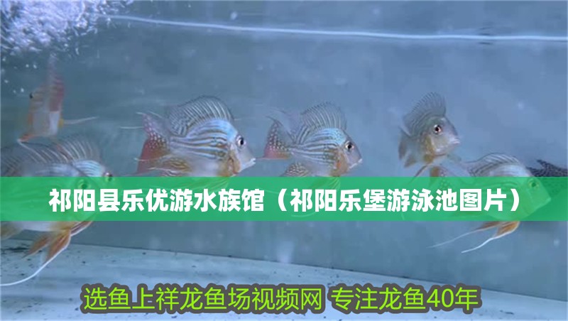 祁陽縣樂優游水族館（祁陽樂堡游泳池圖片） 祁陽縣樂優游水族館（祁陽樂堡游泳池圖片） 全國水族館企業名錄 第2張