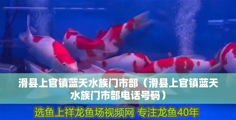 滑縣上官鎮藍天水族門市部（滑縣上官鎮藍天水族門市部電話號碼） 滑縣上官鎮藍天水族門市部（滑縣上官鎮藍天水族門市部電話號碼） 全國水族館企業名錄 第2張