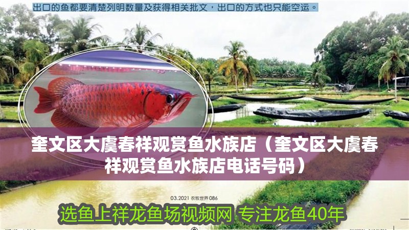 奎文區大虞春祥觀賞魚水族店（奎文區大虞春祥觀賞魚水族店電話號碼）