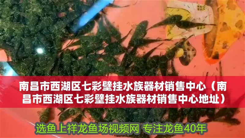 南昌市西湖區七彩壁掛水族器材銷售中心（南昌市西湖區七彩壁掛水族器材銷售中心地址）