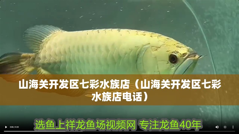 山海關開發區七彩水族店（山海關開發區七彩水族店電話）