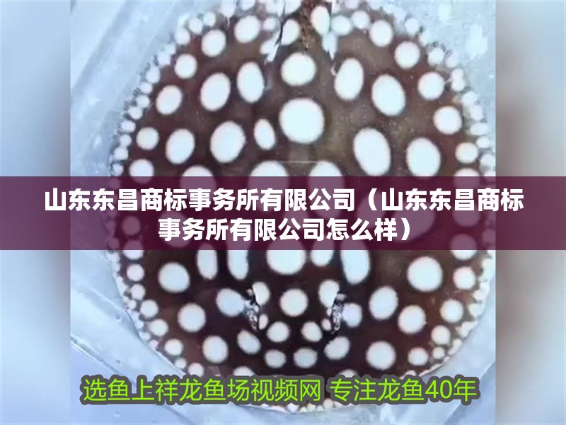 山東東昌商標事務所有限公司（山東東昌商標事務所有限公司怎么樣）