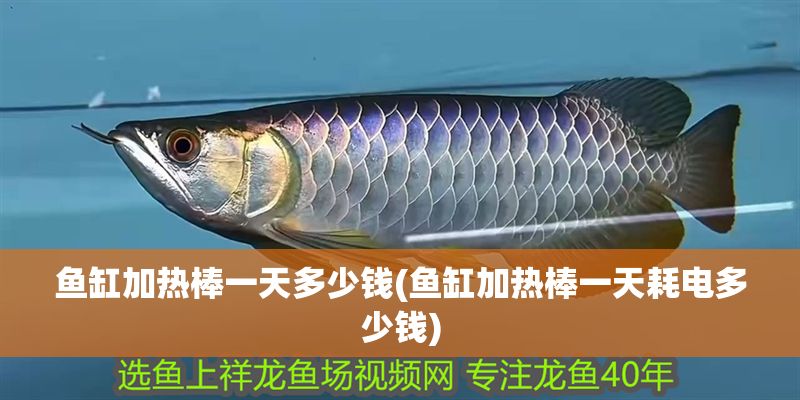 魚缸加熱棒一天多少錢(魚缸加熱棒一天耗電多少錢)