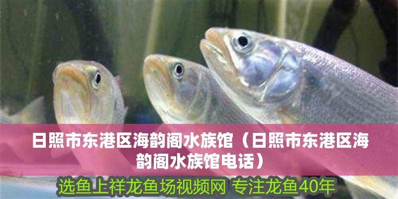 日照市東港區(qū)海韻閣水族館（日照市東港區(qū)海韻閣水族館電話）