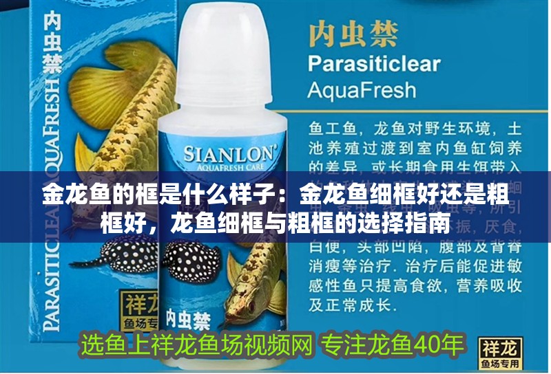 金龍魚的框是什么樣子：金龍魚細(xì)框好還是粗框好，龍魚細(xì)框與粗框的選擇指南