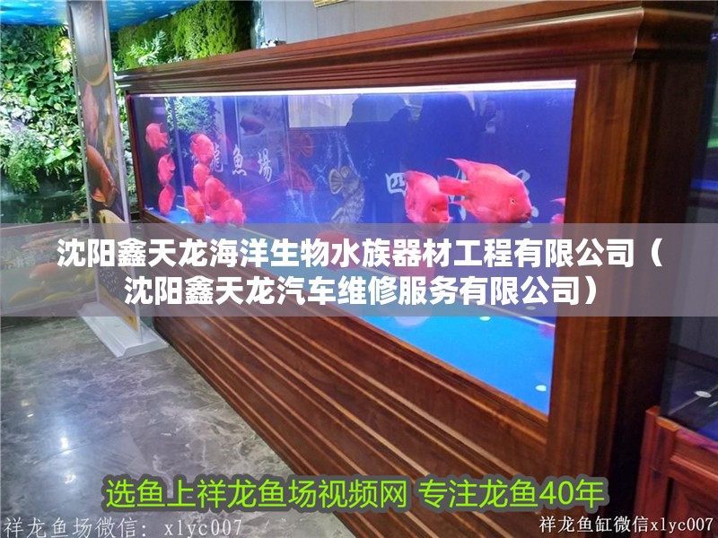 沈陽鑫天龍海洋生物水族器材工程有限公司（沈陽鑫天龍汽車維修服務有限公司）