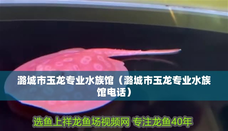 潞城市玉龍專業水族館（潞城市玉龍專業水族館電話）