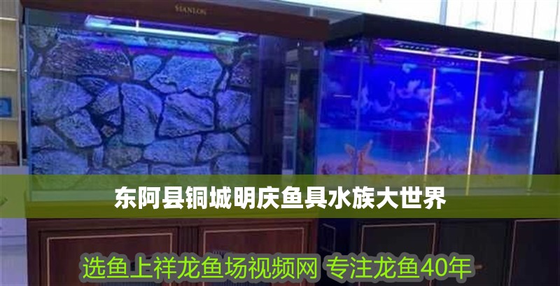 東阿縣銅城明慶魚(yú)具水族大世界