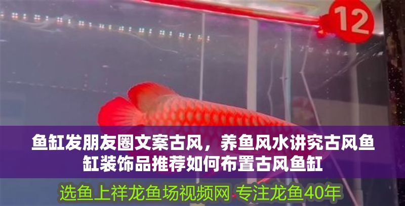 魚缸發朋友圈文案古風，養魚風水講究古風魚缸裝飾品推薦如何布置古風魚缸