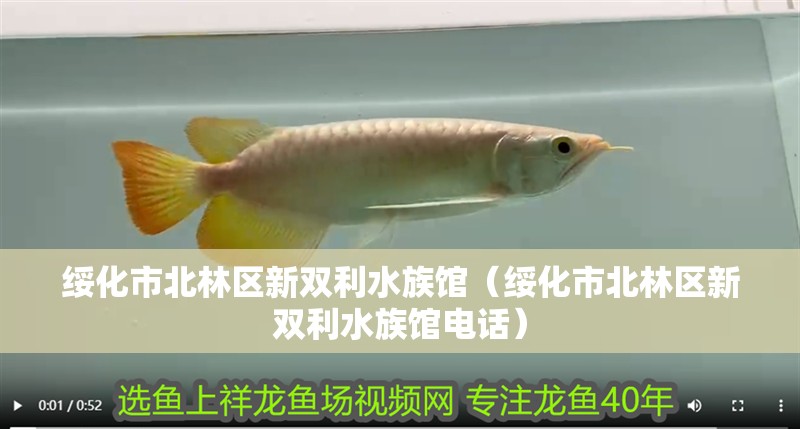 綏化市北林區新雙利水族館（綏化市北林區新雙利水族館電話） 綏化市北林區新雙利水族館（綏化市北林區新雙利水族館電話） 全國水族館企業名錄 第2張