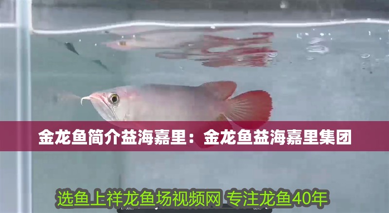 紅龍魚怎么增色的（紅龍魚怎么增色的圖片）