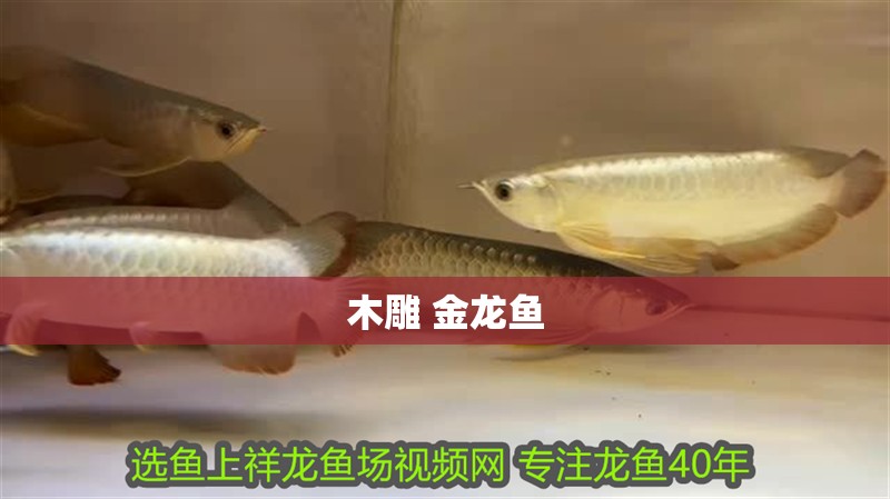 木雕 金龍魚