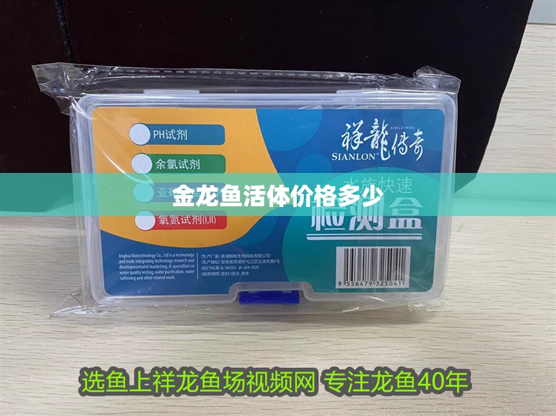 金龍魚活體價格多少