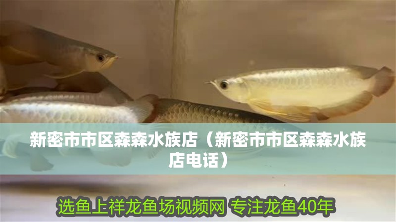 新密市市區森森水族店（新密市市區森森水族店電話） 新密市市區森森水族店（新密市市區森森水族店電話） 全國水族館企業名錄 第2張