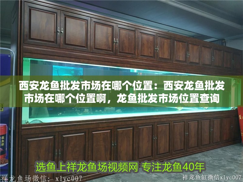 西安龍魚批發市場在哪個位置：西安龍魚批發市場在哪個位置啊，龍魚批發市場位置查詢