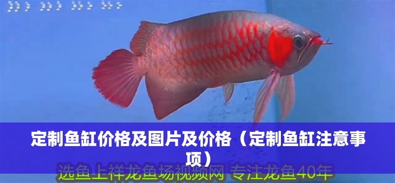 定制魚缸價格及圖片及價格（定制魚缸注意事項(xiàng)）