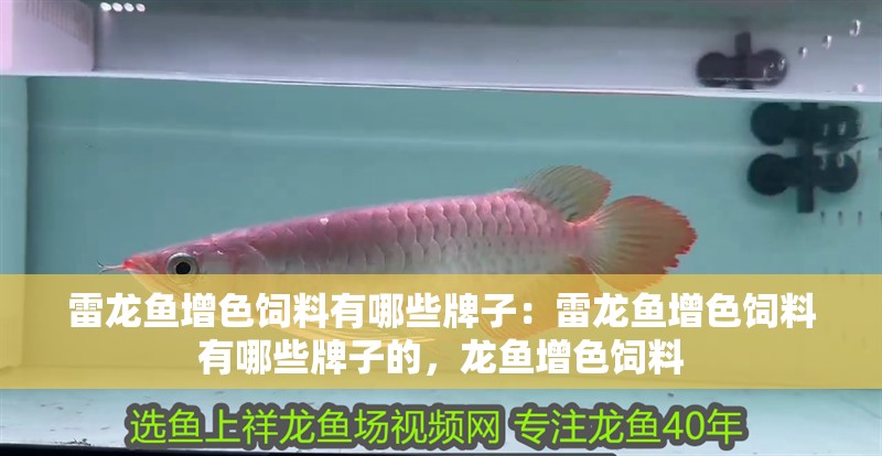 雷龍魚增色飼料有哪些牌子：雷龍魚增色飼料有哪些牌子的，龍魚增色飼料