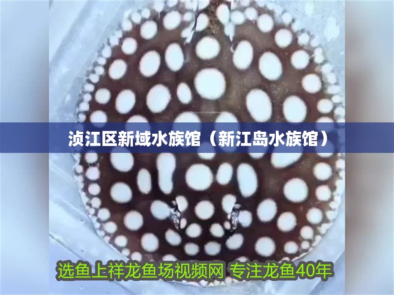 湞江區新域水族館（新江島水族館） 湞江區新域水族館（新江島水族館） 全國水族館企業名錄 第2張