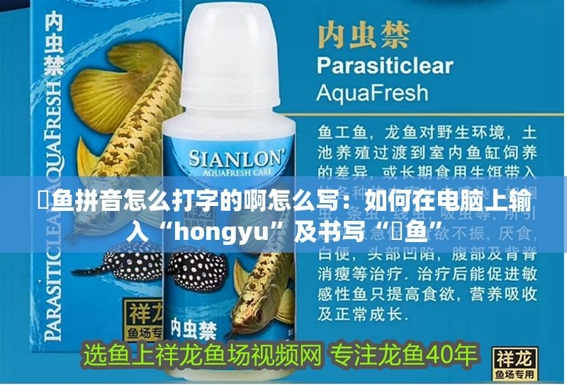 魟魚拼音怎么打字的啊怎么寫：如何在電腦上輸入“hongyu”及書寫“魟魚” 魟魚拼音怎么打字的啊怎么寫：如何在電腦上輸入“hongyu”及書寫“魟魚” 魟魚百科 第2張