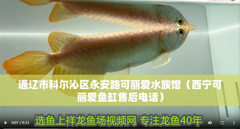 通遼市科爾沁區(qū)永安路可麗愛水族館（西寧可麗愛魚缸售后電話）